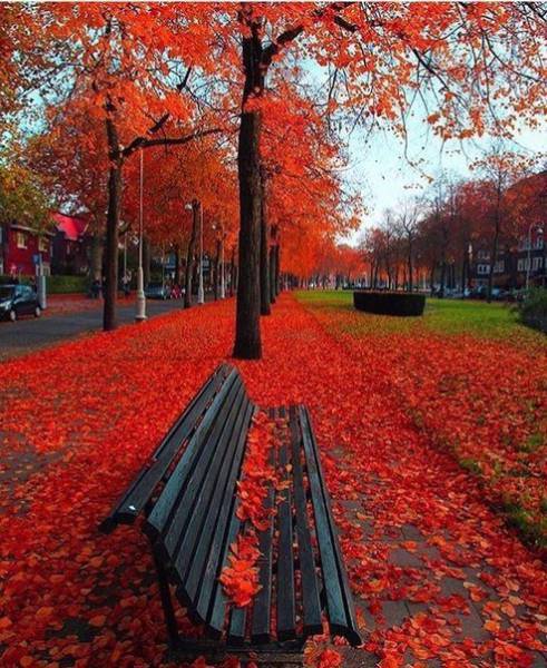 Фотографии, которые не нуждаются в комментариях
