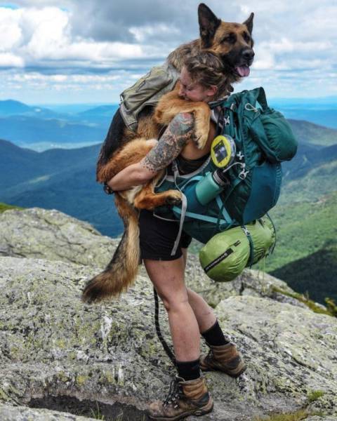 Фотографии, которые не нуждаются в комментариях