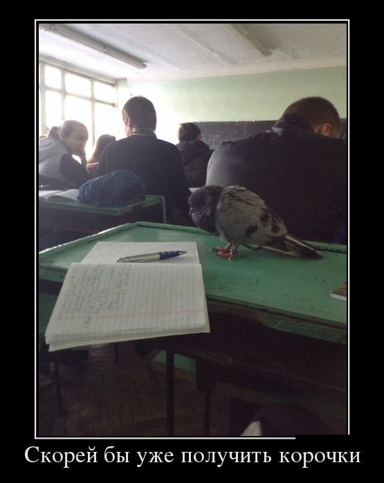 Демотиваторы