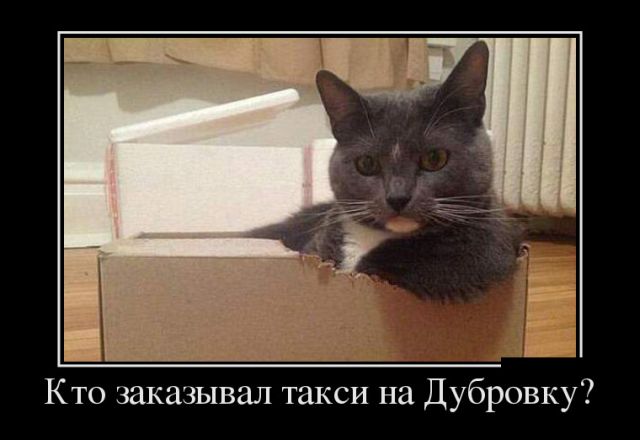 Демотиваторы
