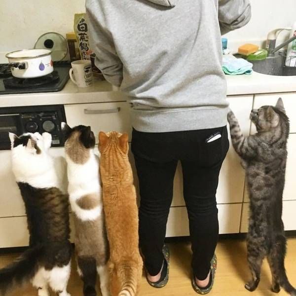 Прикольные картинки