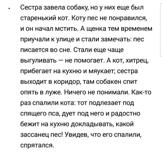 Истории людей с просторов сети
