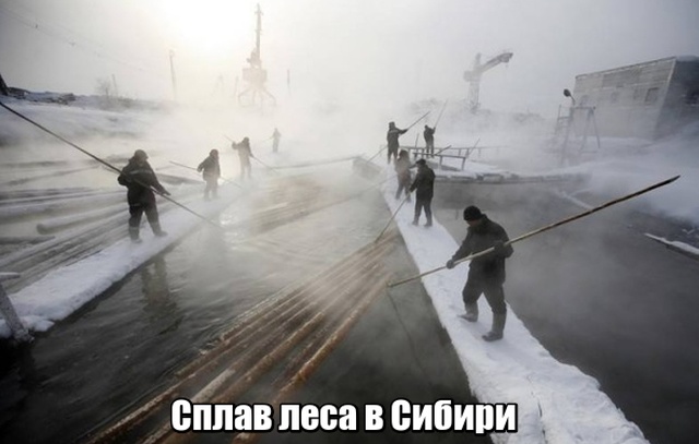 Если вам надоела ваша работа в офисе