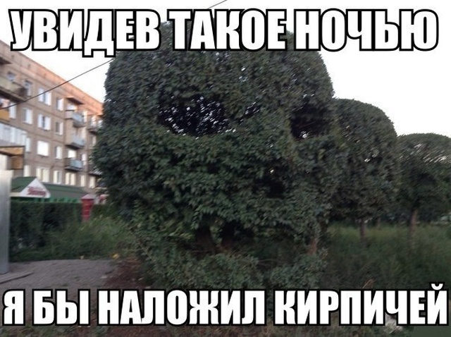 Нестандартный юмор с просторов сети