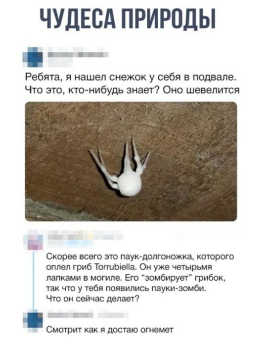 Прикольные картинки