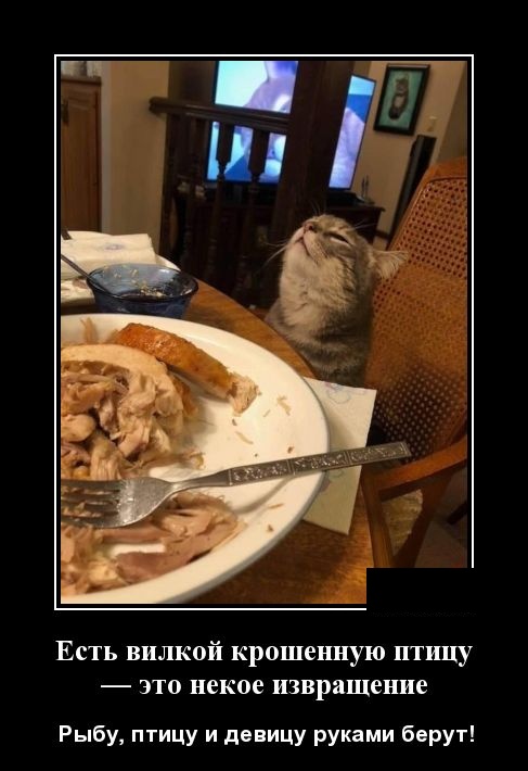Демотиваторы