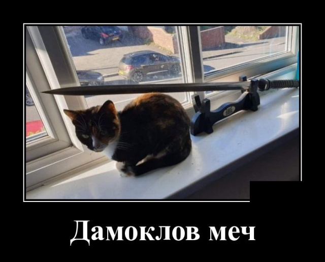 Демотиваторы