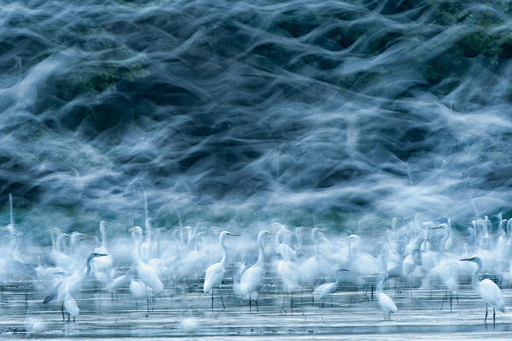 Победители конкурса фотографии National Geographic 2013