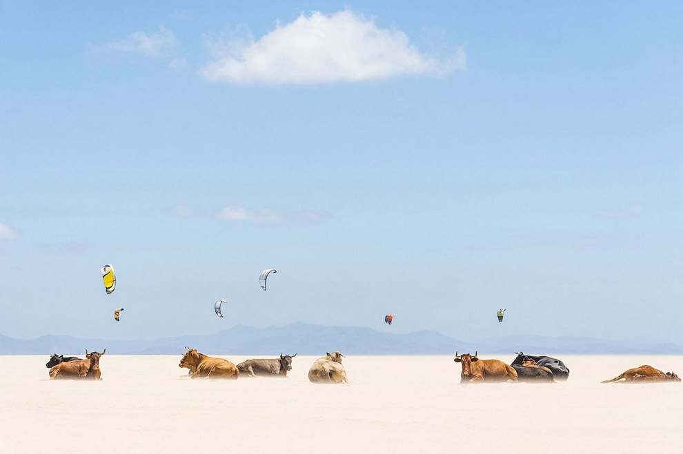 Победители конкурса фотографии National Geographic 2013