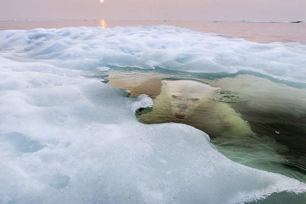 Победители конкурса фотографии National Geographic 2013