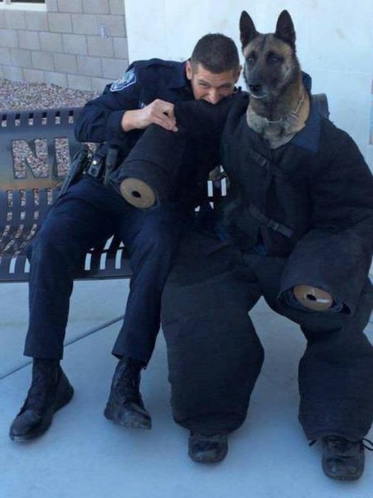 Подборка странных фотографий