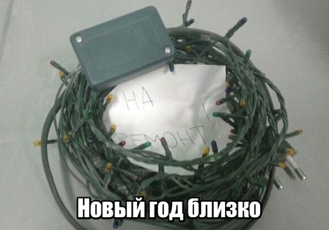 Прикольные картинки