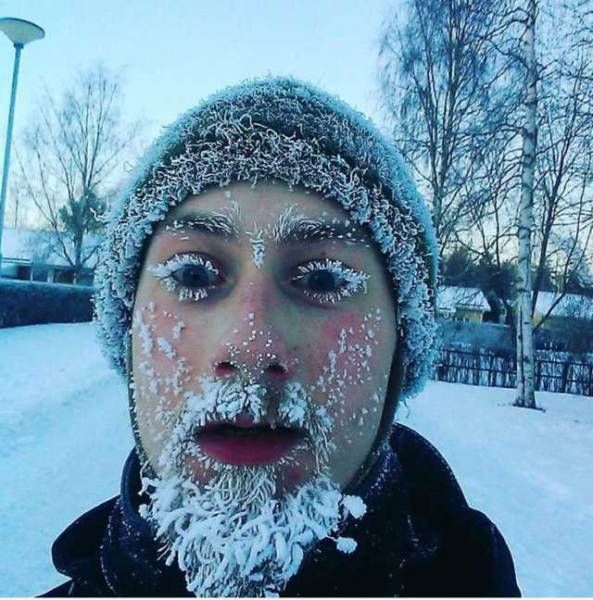 Прикольные картинки