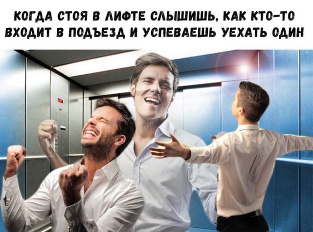 Прикольные картинки