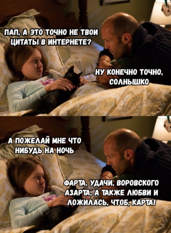 Прикольные картинки