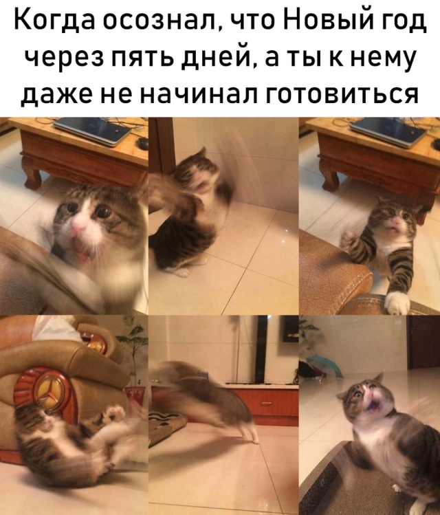 Прикольные картинки