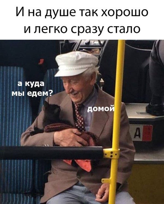 Прикольные картинки