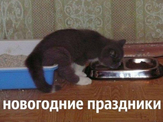Новогодний юмор с просторов сети