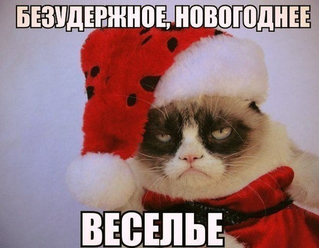 Новогодний юмор с просторов сети