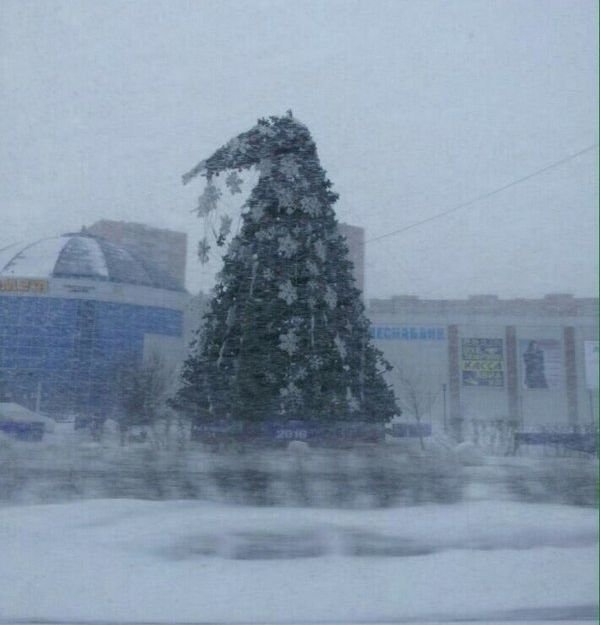 Новогодний юмор с просторов сети