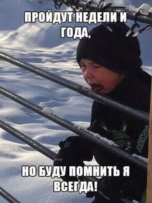 Новогодний юмор с просторов сети
