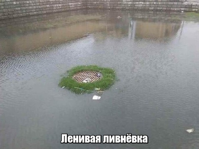 Фотографии с просторов нашей бескрайней, которые не нуждаются в комментариях