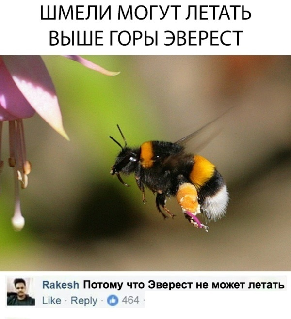 Юмор, комментарии и шутки из социальных сетей