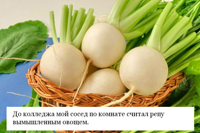 Реальные вещи, которые люди считали выдумкой в детстве
