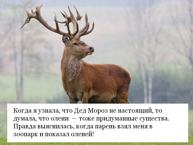 Реальные вещи, которые люди считали выдумкой в детстве