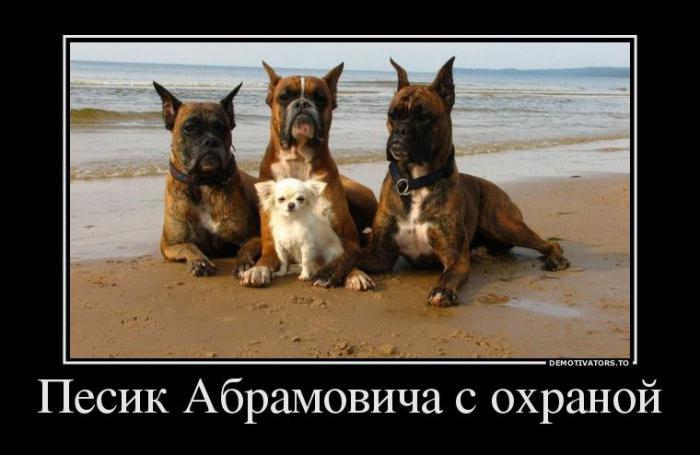 Демотиваторы