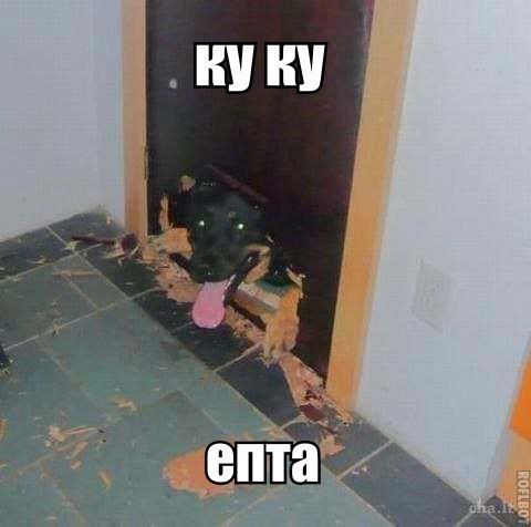 Прикольные картинки (89 фото)