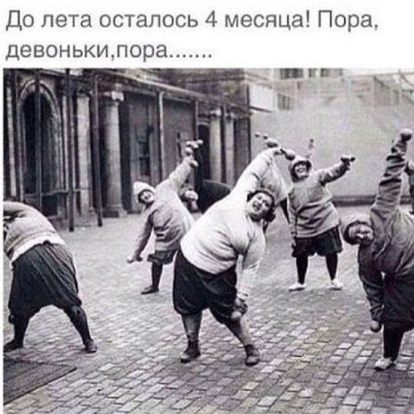 Порция картинок