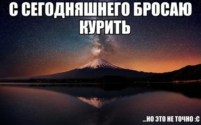 Порция картинок