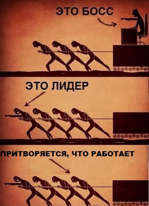 Порция картинок