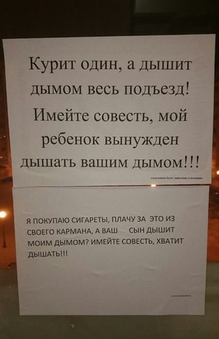 Порция картинок