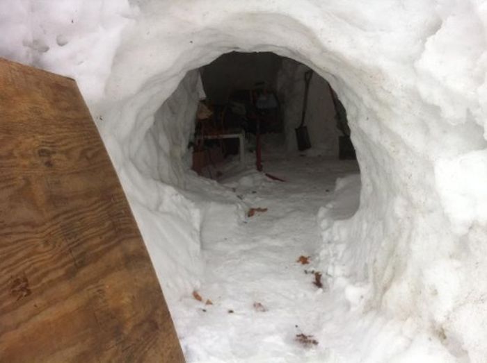 Хижина из снега