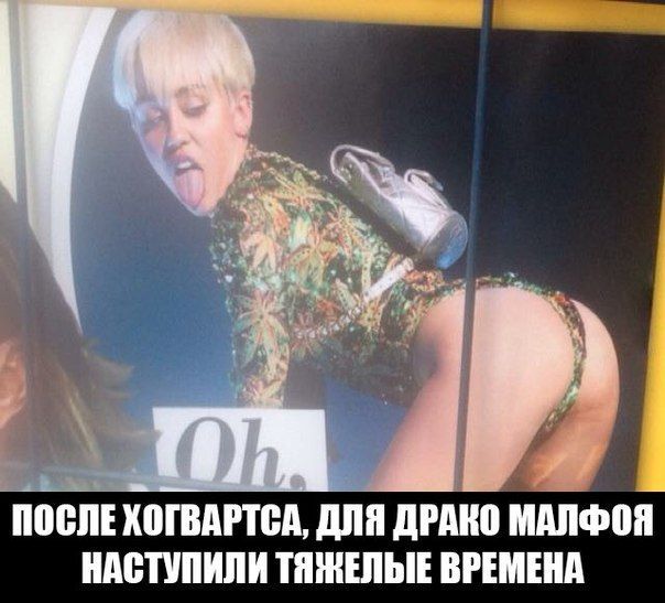 Прикольные картинки (85 фото)