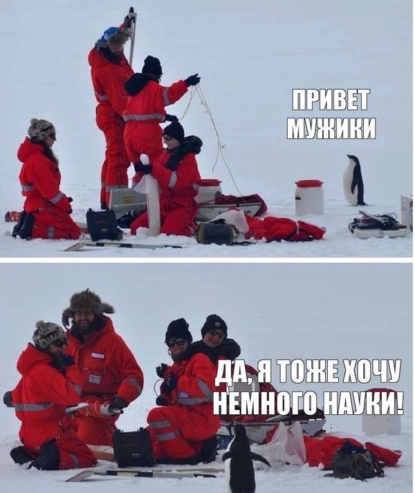 Прикольные картинки (85 фото)