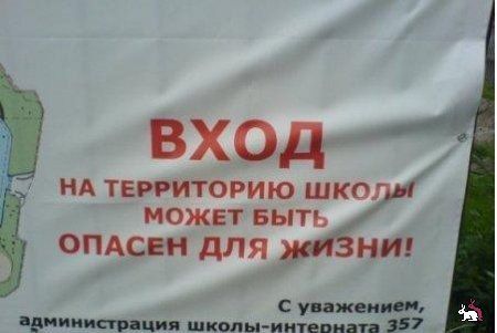 Прикольные картинки (85 фото)