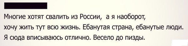 Прикольные картинки (85 фото)