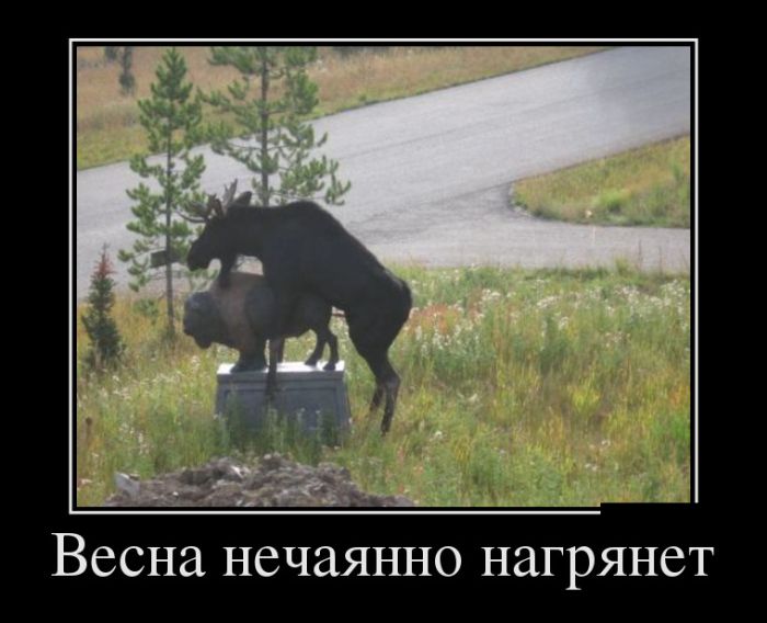 Демотиваторы
