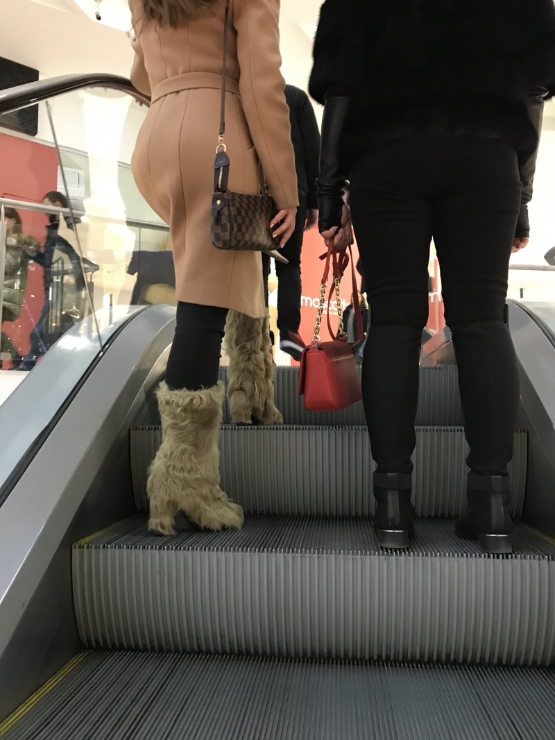 Чудаки из Московского метро