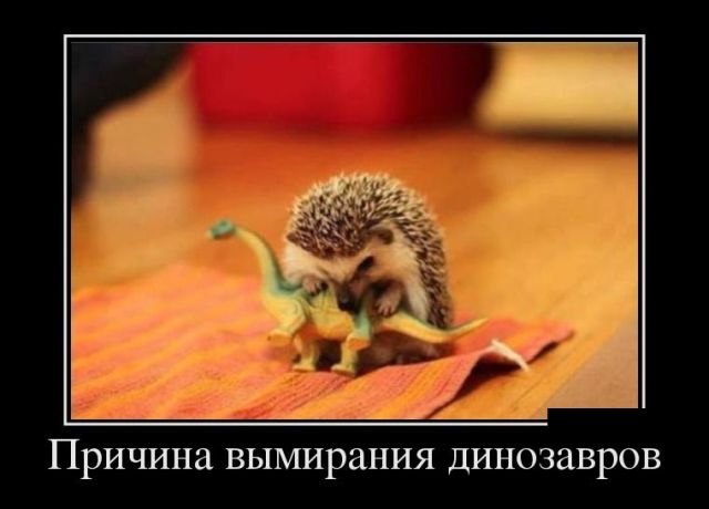 Демотиваторы
