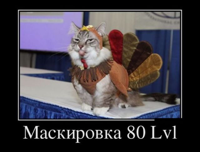 Демотиваторы