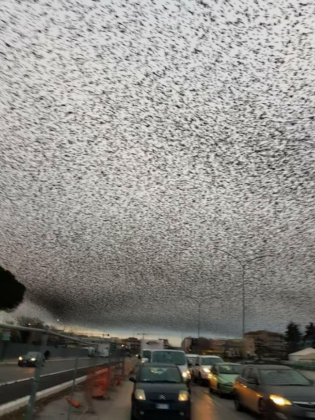 25 фотографий, которые доказывают, что не все в нашей жизни поддается здравому смыслу