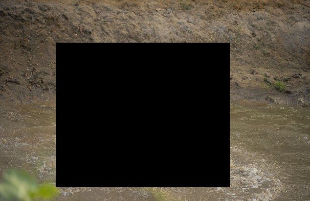 Две мокрые киски в грязи (6 фото)