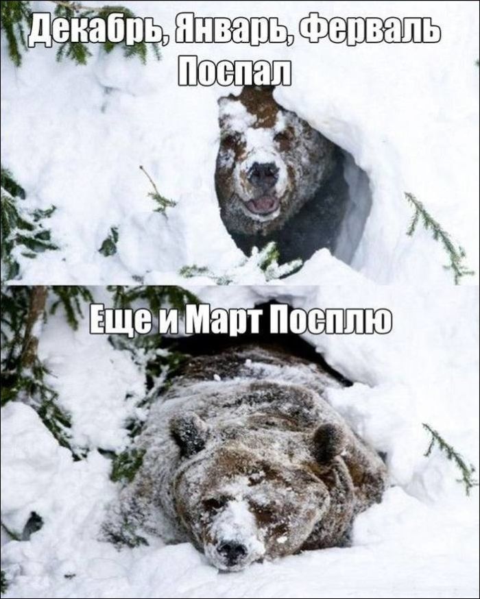 Про бесконечный февраль (27 картинок)