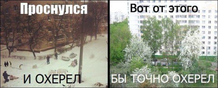 Про бесконечный февраль (27 картинок)