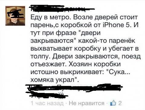 Прикольные картинки (50 фото)