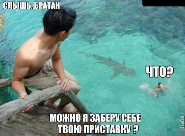 Прикольные картинки (50 фото)